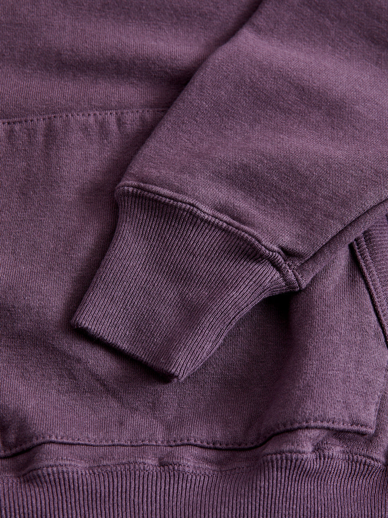 Ehu'kia Hooded Raglan Sweatshirt in Plum Perfect