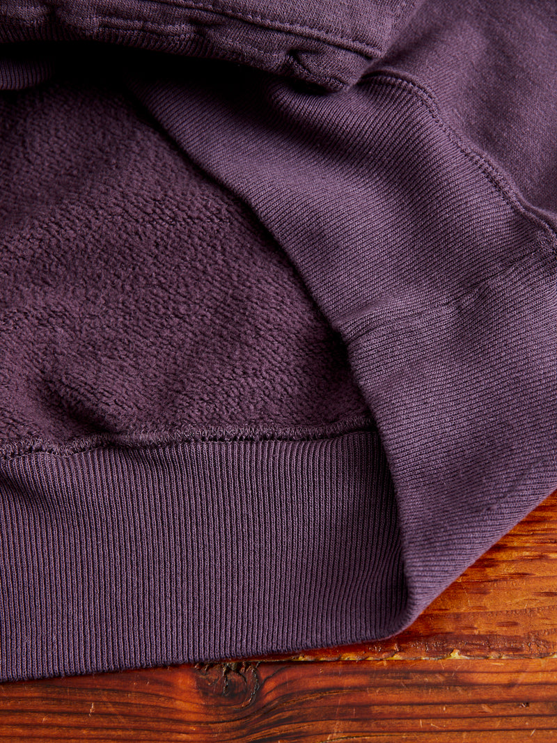 Ehu'kia Hooded Raglan Sweatshirt in Plum Perfect