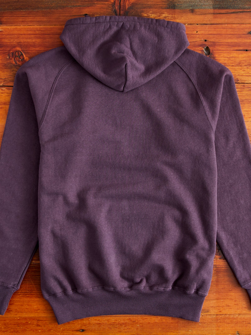 Ehu'kia Hooded Raglan Sweatshirt in Plum Perfect