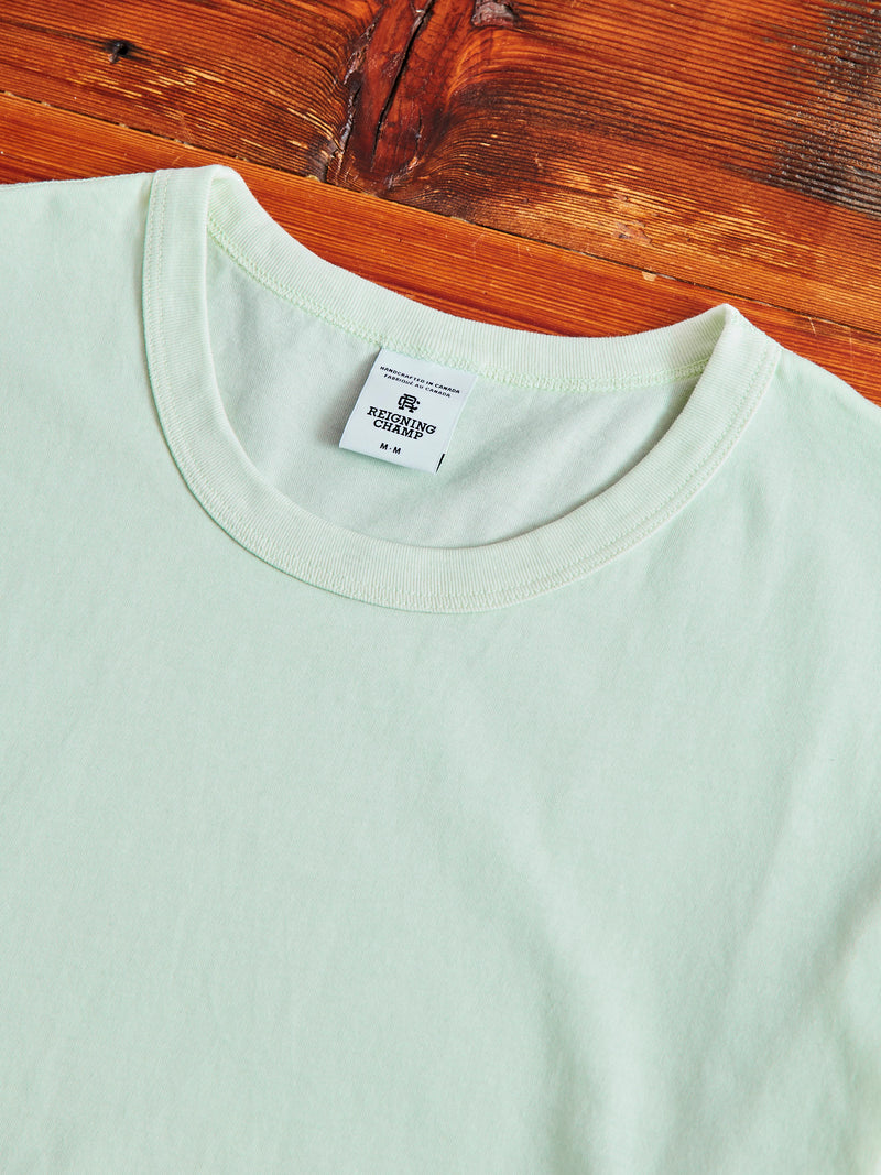 Ringspun Jersey T-Shirt in Aloe