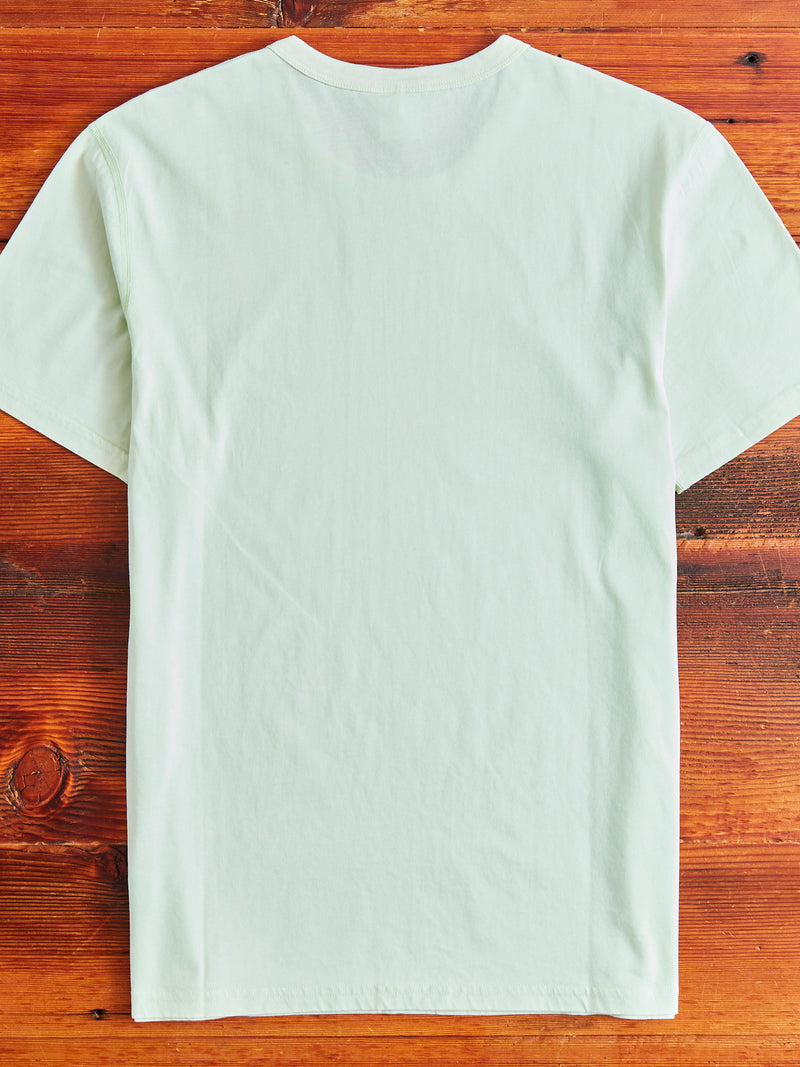 Ringspun Jersey T-Shirt in Aloe