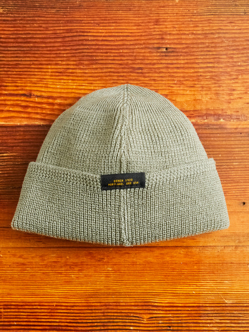 Wool Knit Watch Cap in Sage