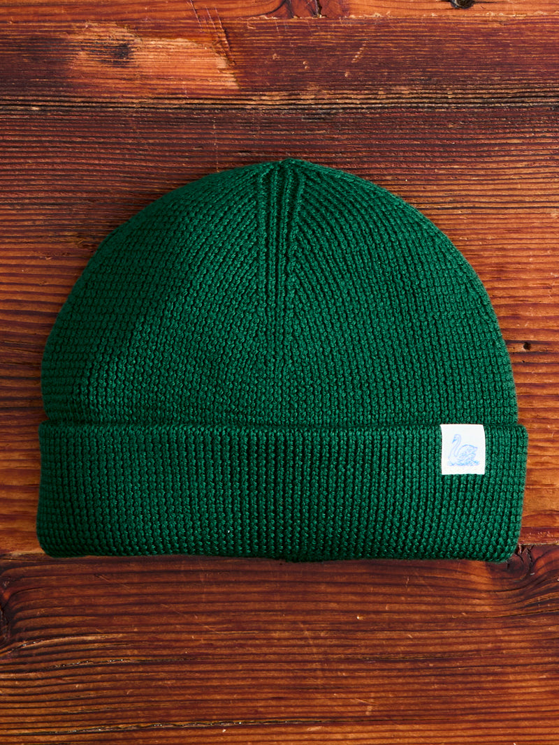 Merino Wool Ribbed Beanie in Moss