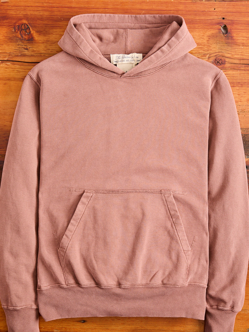 Special Finish Pullover Hoodie in Brown