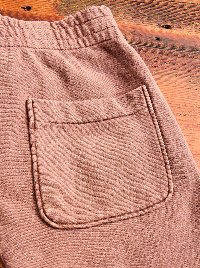 Special Finish Sweatpants in Brown