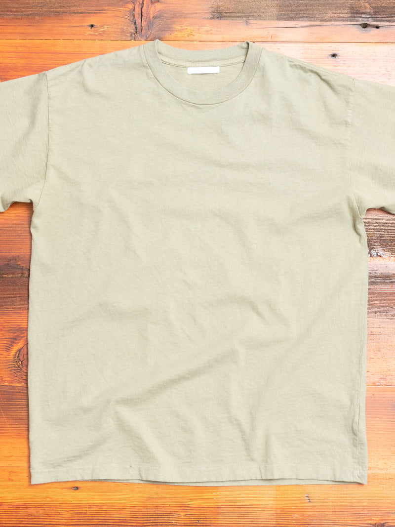 University T-Shirt in Sage