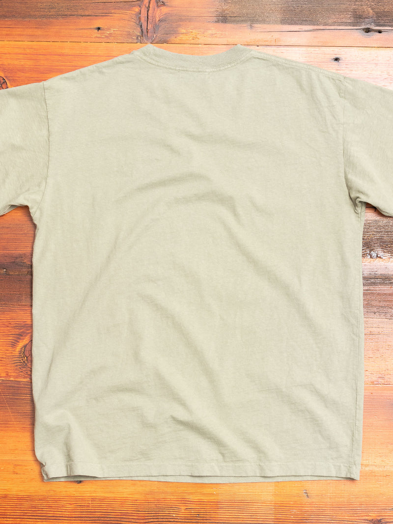 University T-Shirt in Sage