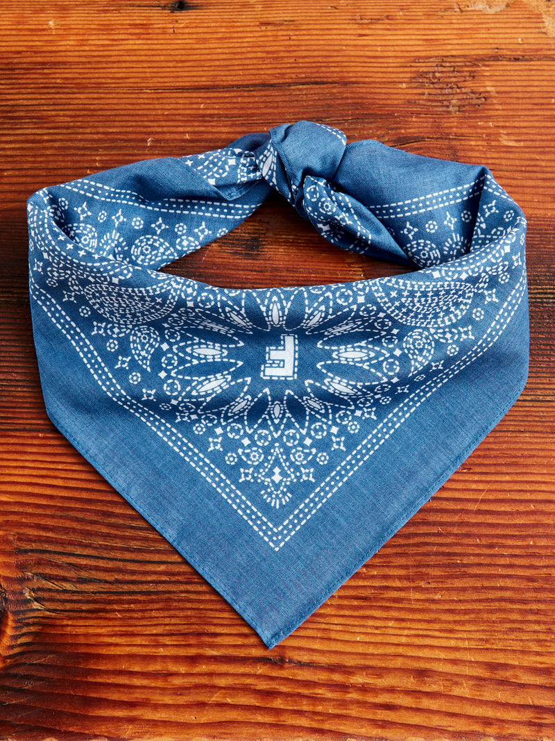 Paisley Bandana in Light Blue